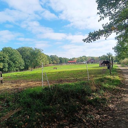 Cap Nature - T3 Et T4 En Perigord Vert - Ideal Pros Et Groupes Max 18P Champniers-et-Reilhac Eksteriør billede