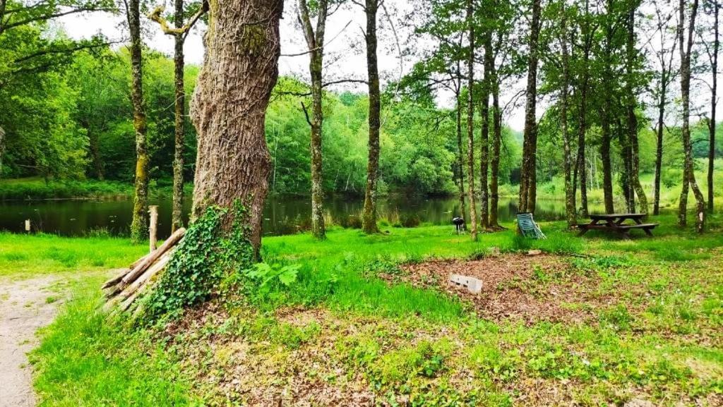 Cap Nature - T3 Et T4 En Perigord Vert - Ideal Pros Et Groupes Max 18P Champniers-et-Reilhac Eksteriør billede